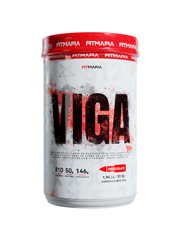 VIGA
