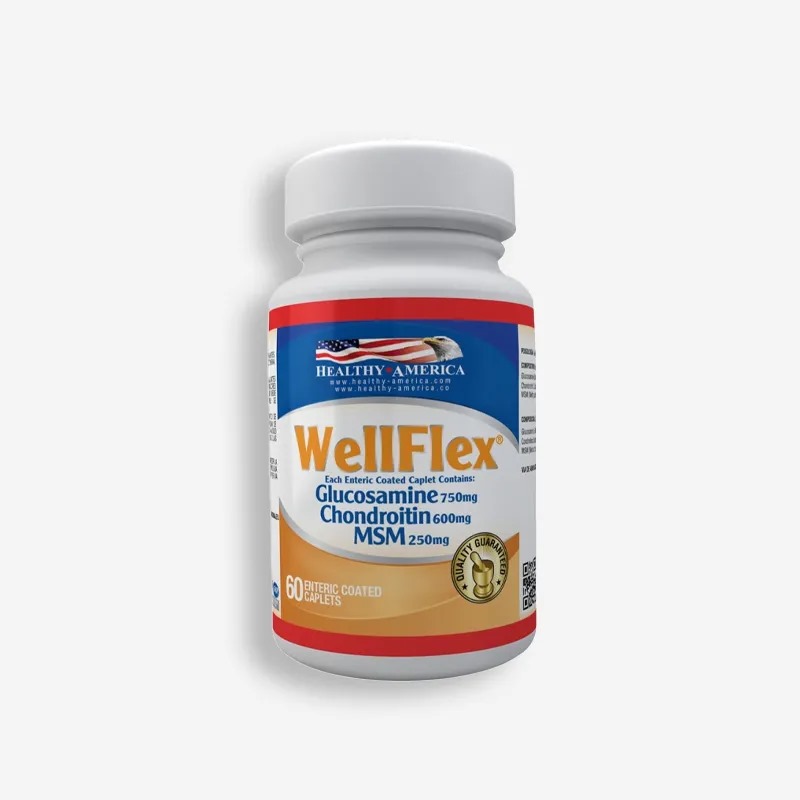 WELL FLEX GLUCOSAMINE